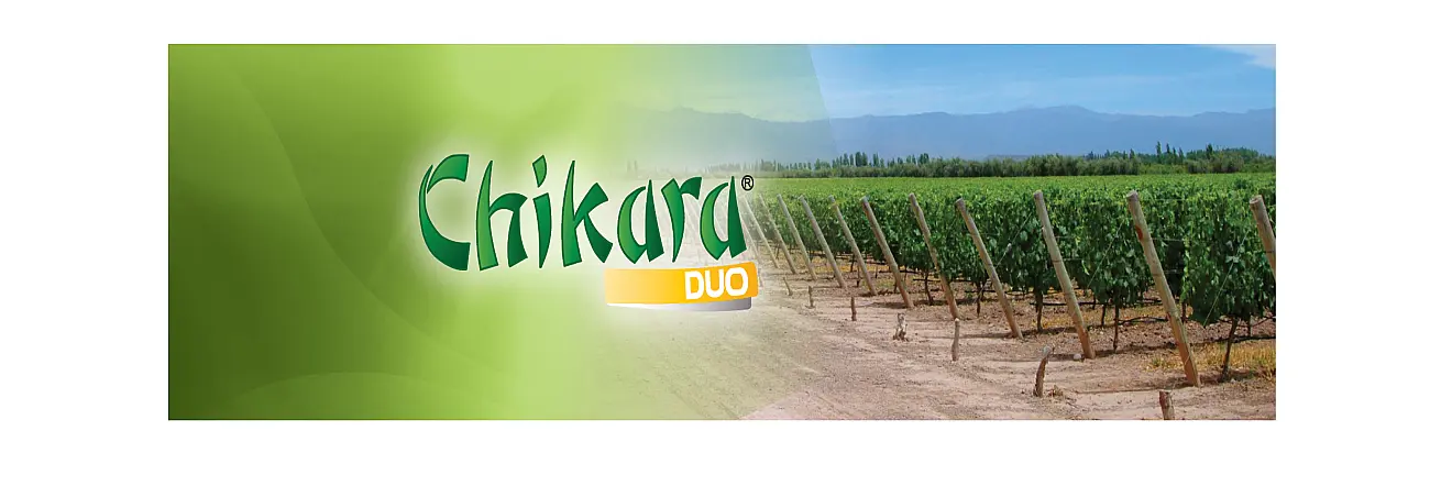 Chikara Duo, WG
