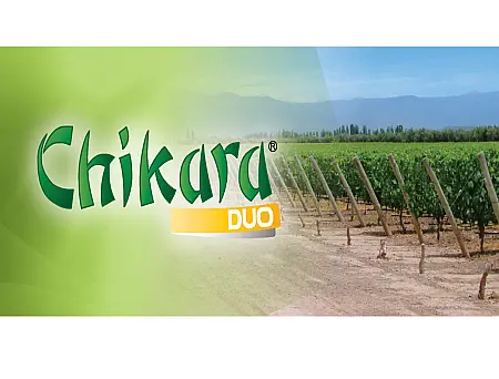 alt_Chikara Duo, WG