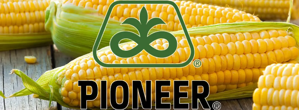 Pioneer