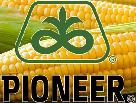 alt_Pioneer