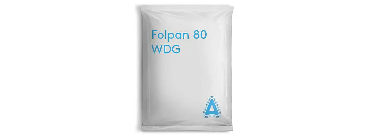 Folpan 80 WG