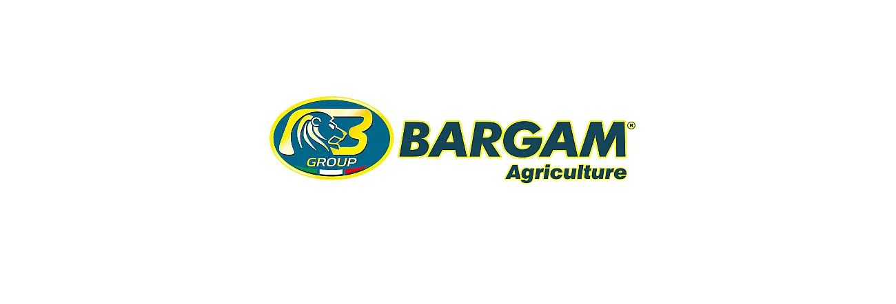 Bargam