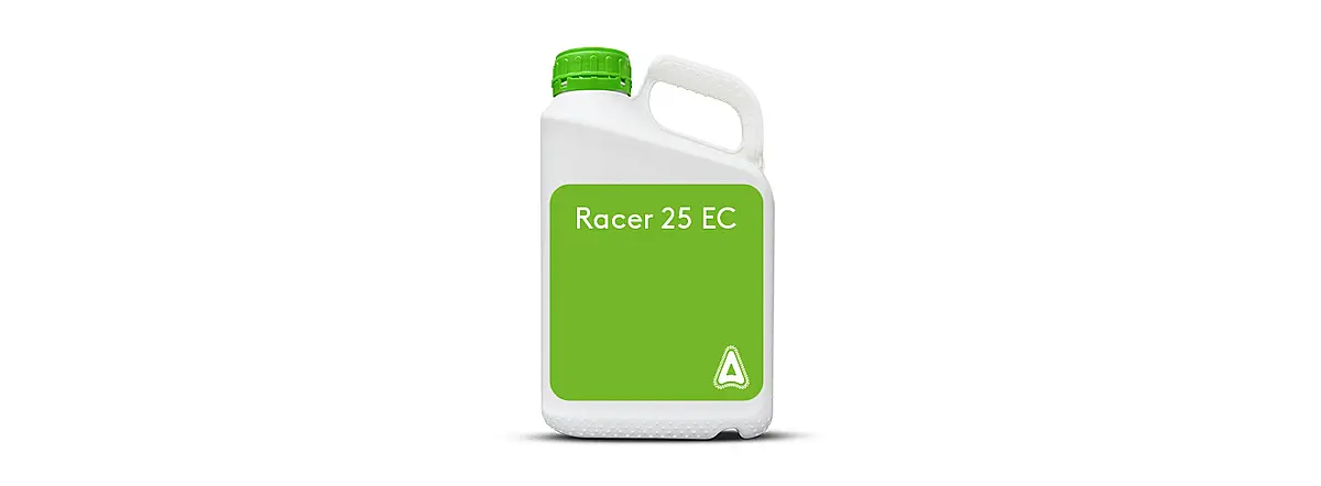 Racer 25 EC