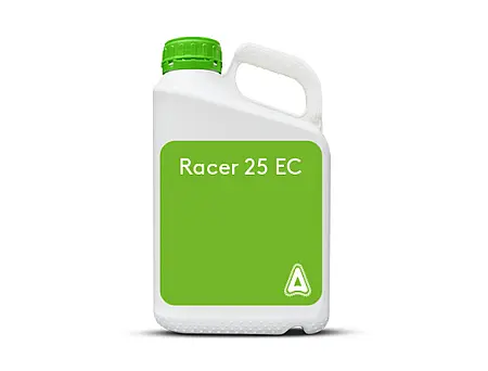 alt_Racer 25 EC