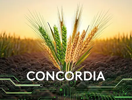 alt_Concordia 306 SE