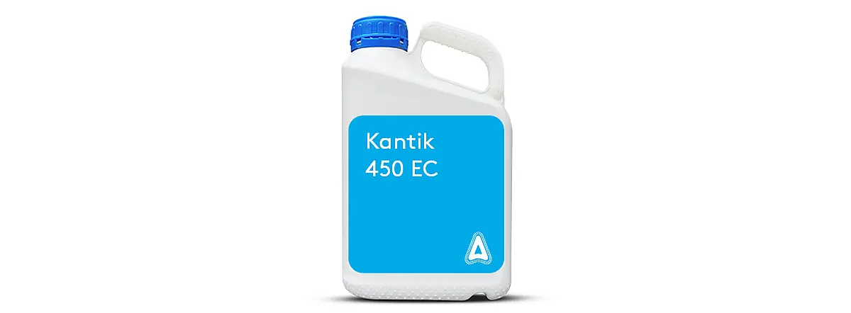 Kantik 450 EC