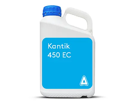 alt_Kantik 450 EC