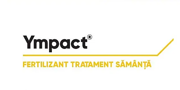 Ympact