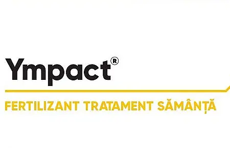 alt_Ympact