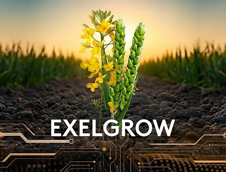alt_ExelGrow