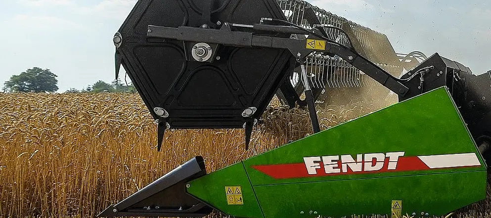 Hedere Fendt