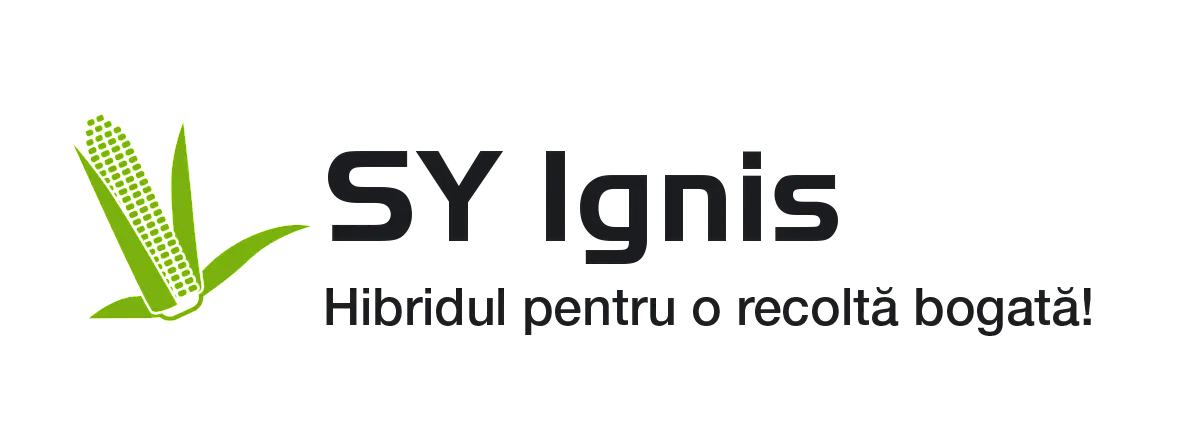 SY Ignis