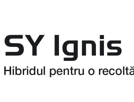 alt_SY Ignis