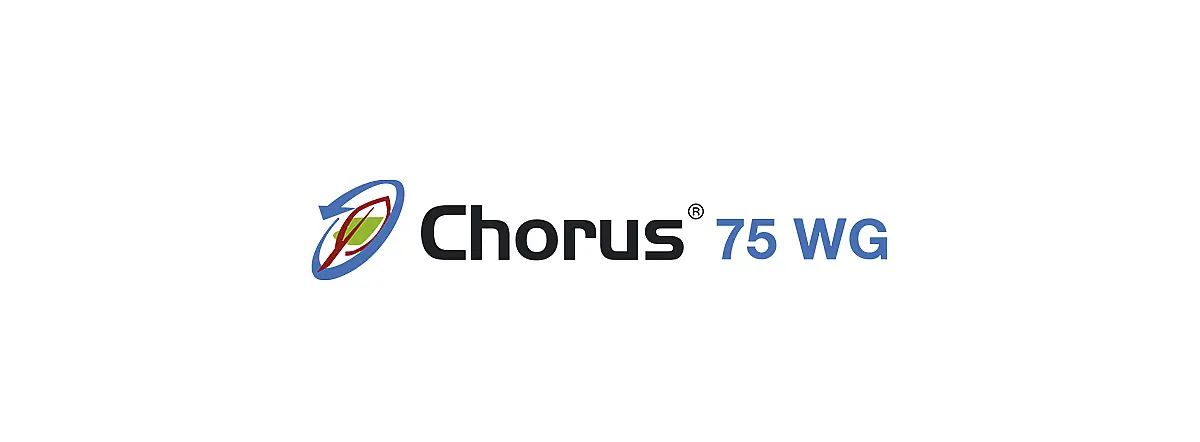 Chorus 75 WG