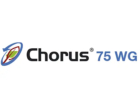 alt_Chorus 75 WG
