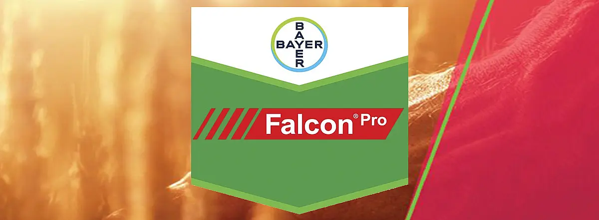 Falcon Pro 425 EC