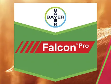 alt_Falcon Pro 425 EC