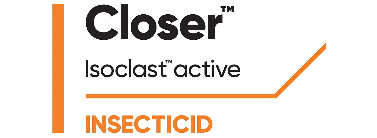 Closer