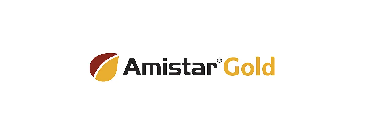 Amistar Gold