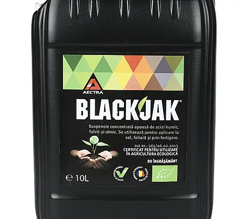 Black Jak