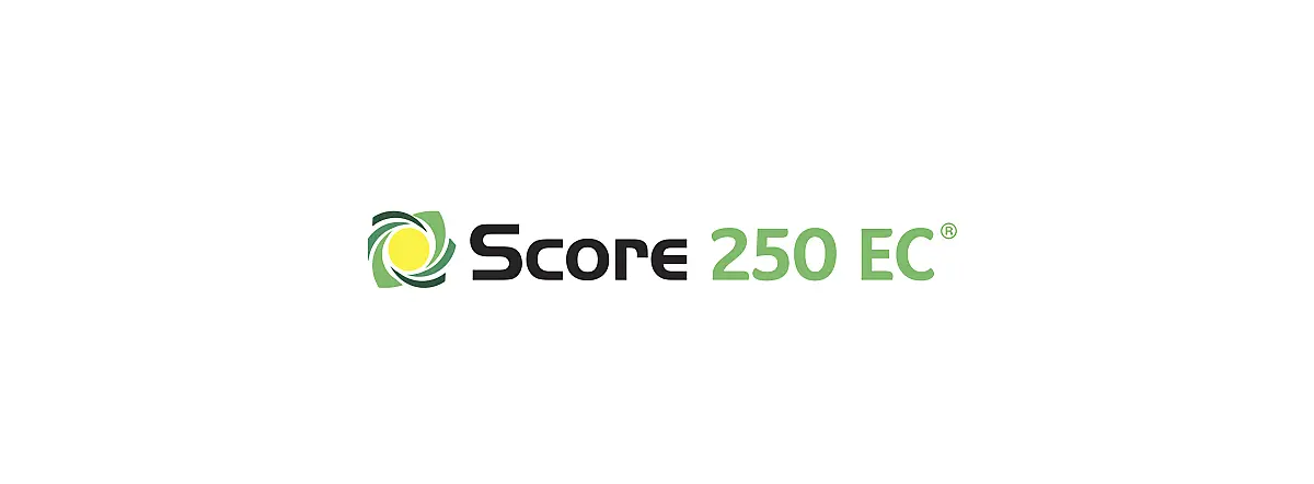 Score 250 EC