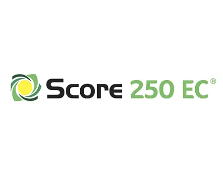 alt_Score 250 EC