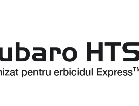 alt_Subaro HTS