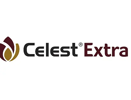 alt_Celest Extra