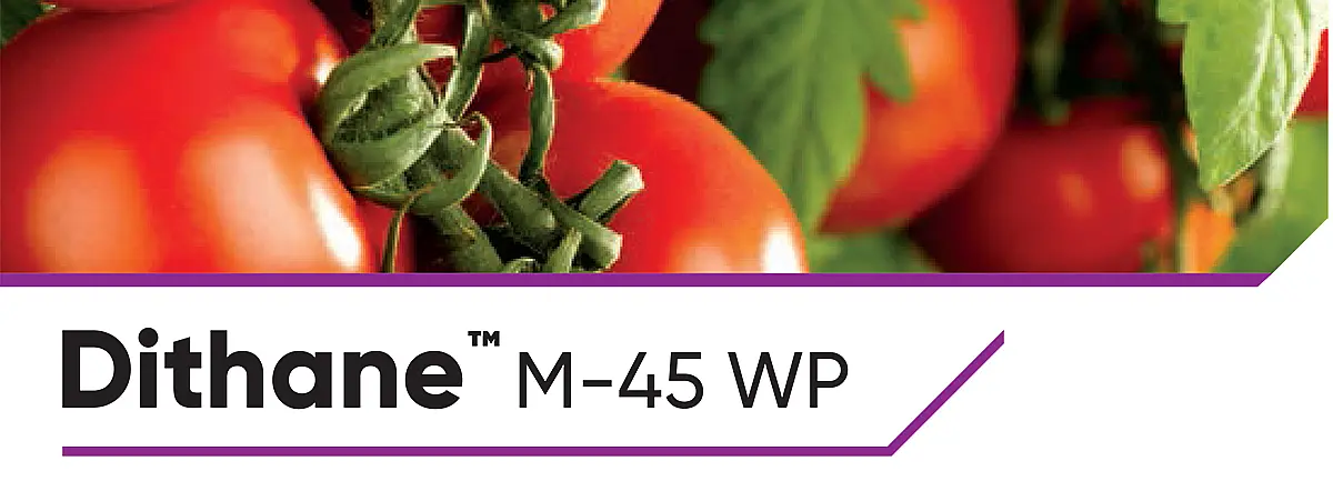 Dithane M 45WP