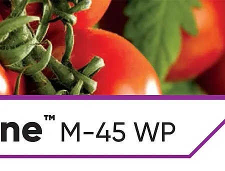 alt_Dithane M 45WP