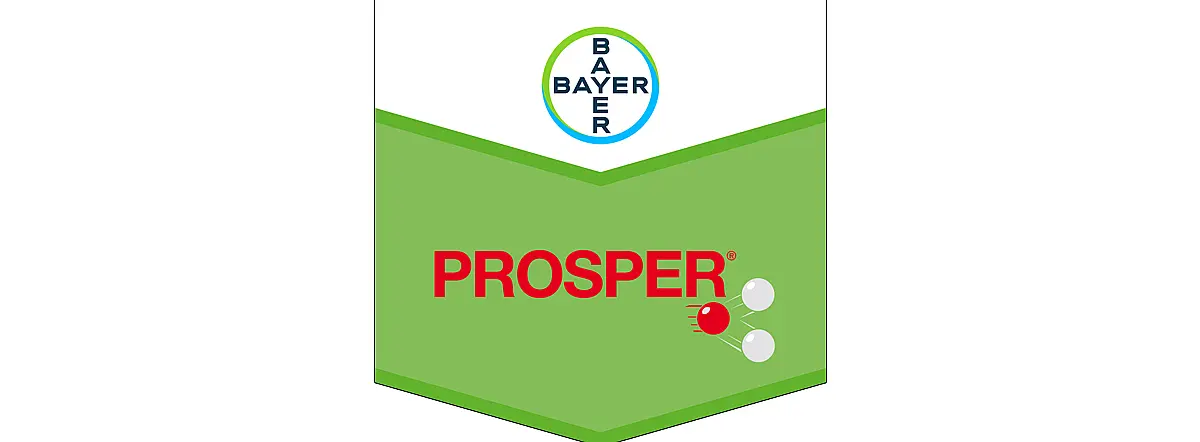 Prosper 300 CS