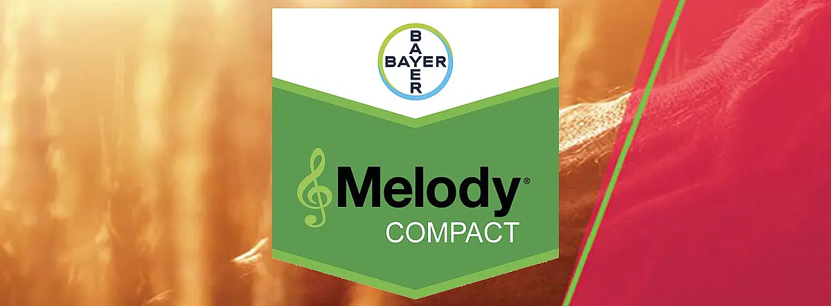Melody Compact 49 WG