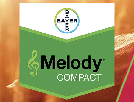 alt_Melody Compact 49 WG