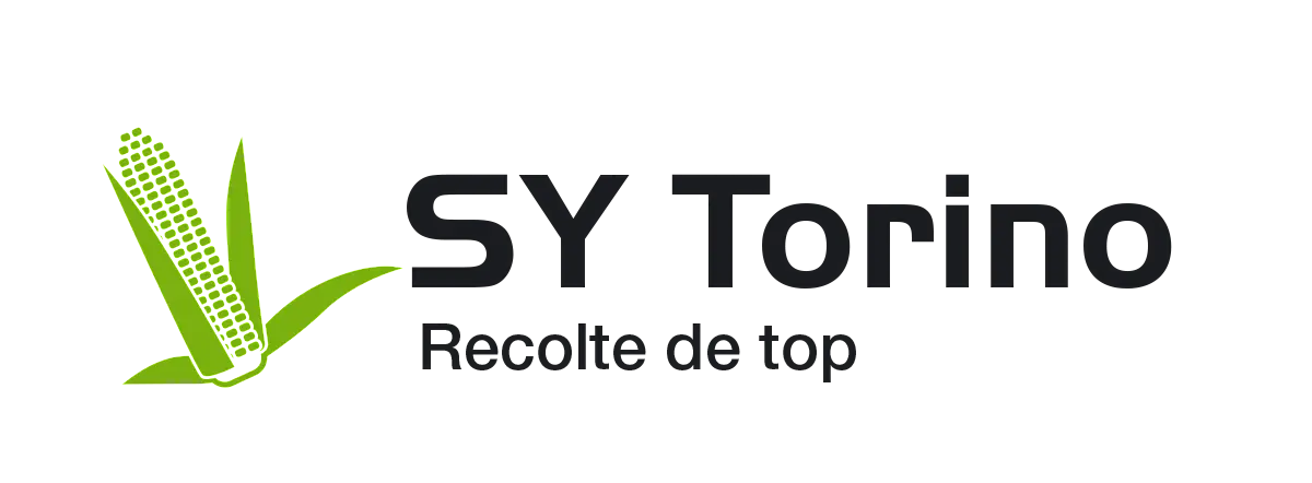 SY Torino