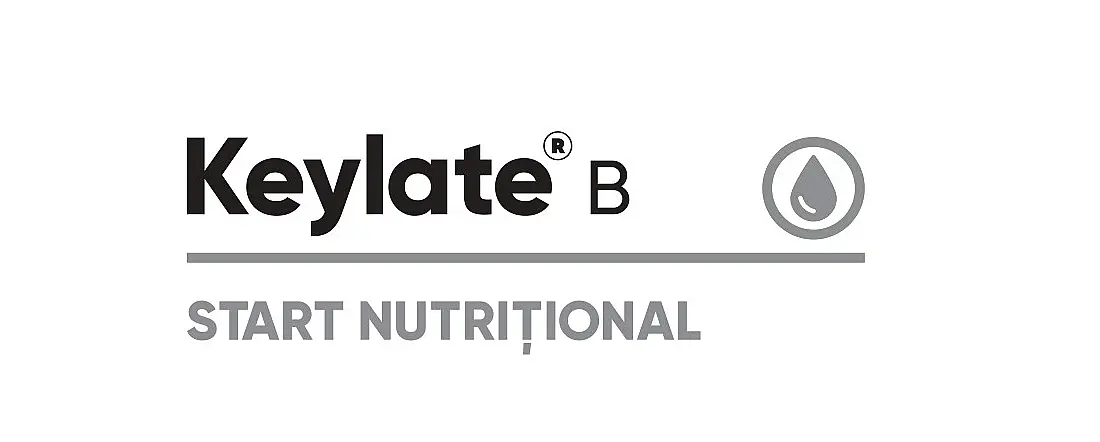 Keylate B
