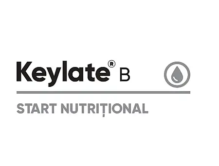 alt_Keylate B