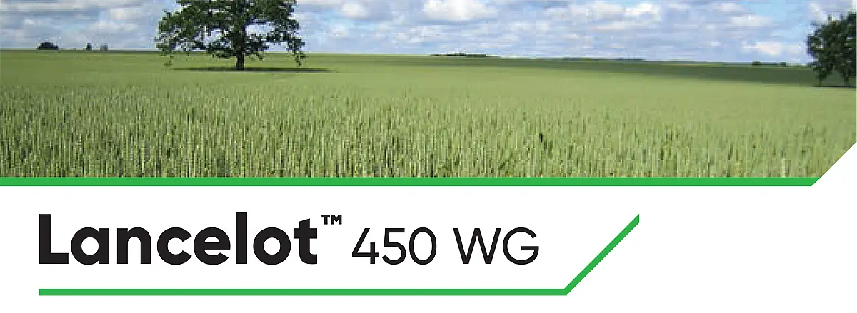 Lancelot 450 WG