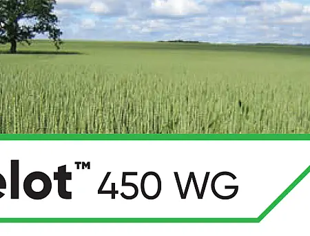 alt_Lancelot 450 WG