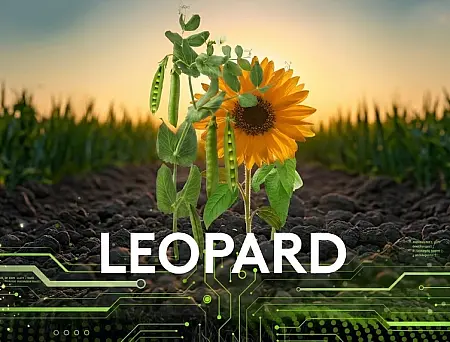 alt_Leopard 5 EC