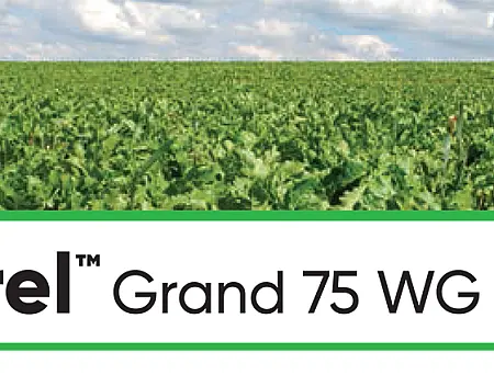alt_Lontrel Grand 75 WG