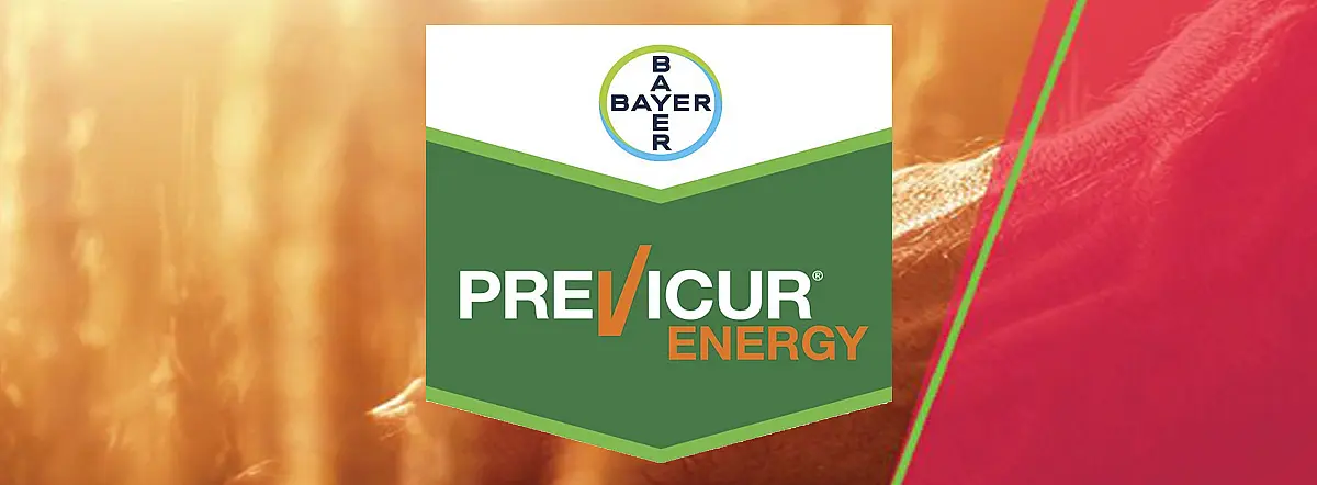 Previcur Energy 840 SL