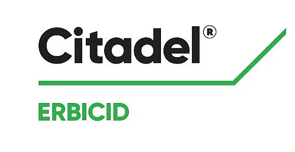 Citadel