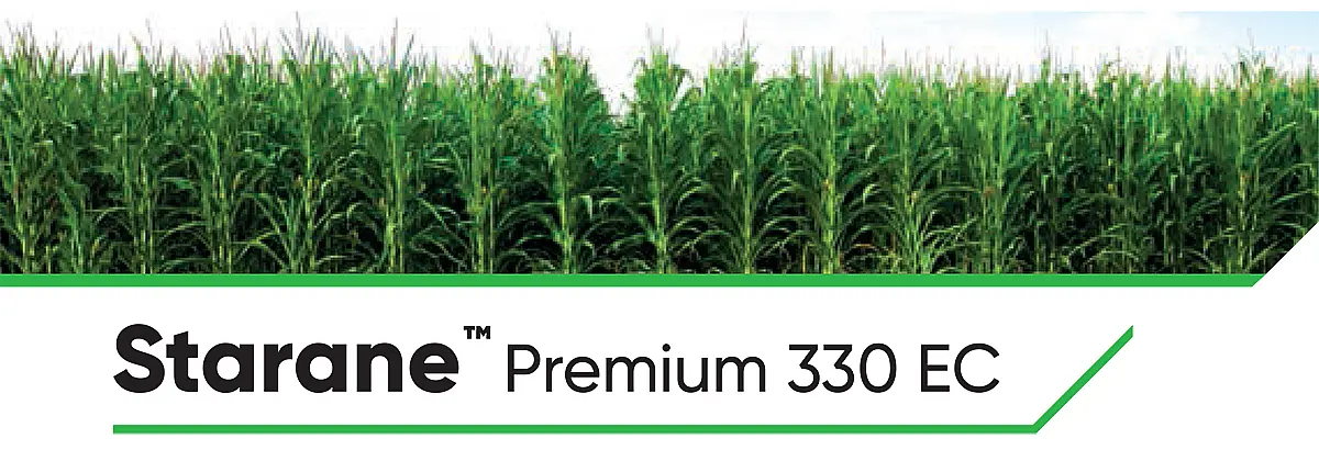 Starane Premium 330 EC