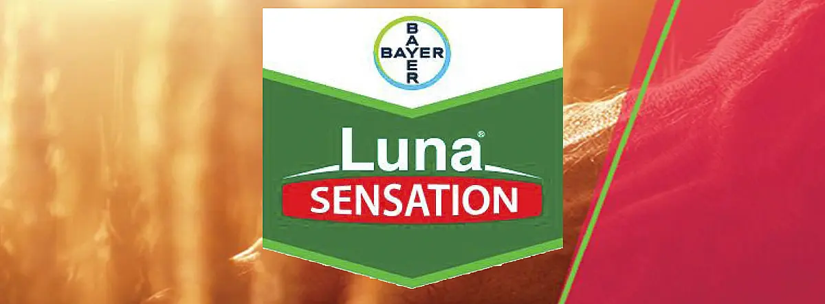 Luna Sensation 500 SC