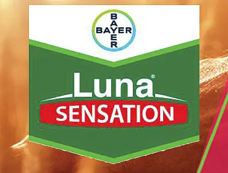 alt_Luna Sensation 500 SC