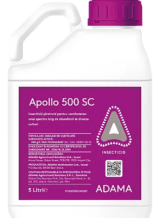 Apollo 500 SC