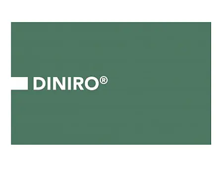 alt_Diniro