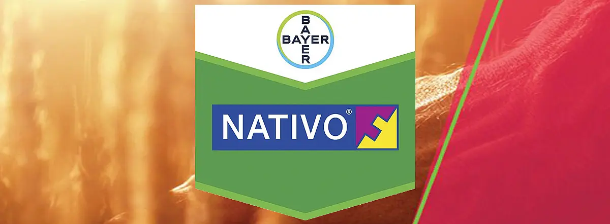 Nativo 300 SC
