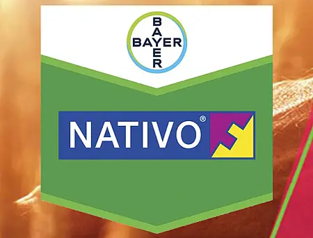 alt_Nativo 300 SC