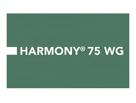 alt_Harmony 75 WG